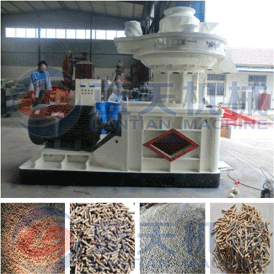 Rice husk pellet mill machine