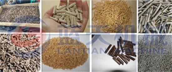 Rice husk pellet mill machine