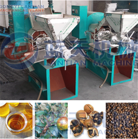 Tea seed oil press machine