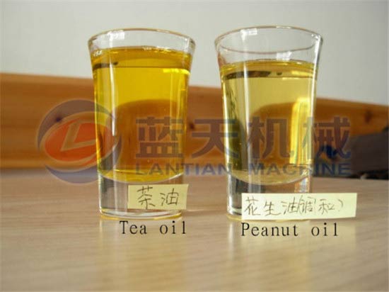 Tea seed oil press machine