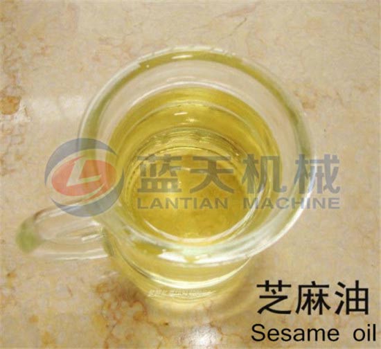 Sesame screw oil press machine