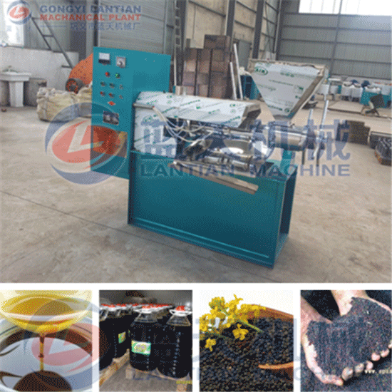 Rapeseed oil press machine