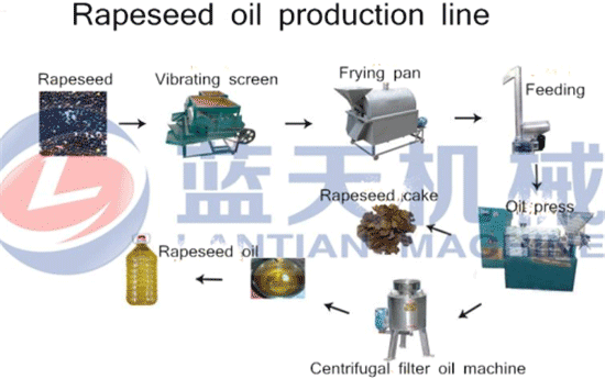 Rapeseed oil press machine