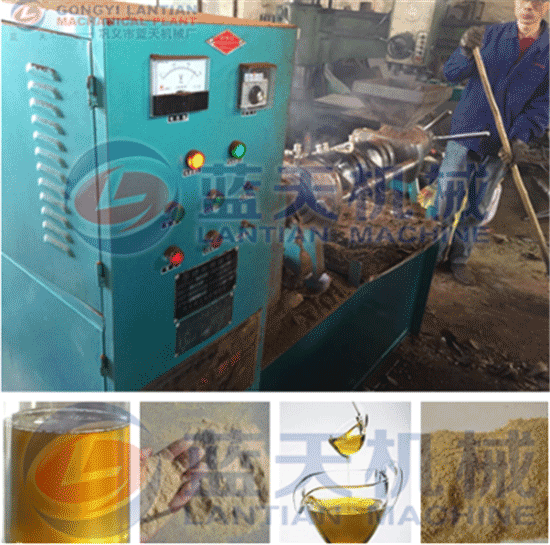 Rice bran oil press machine