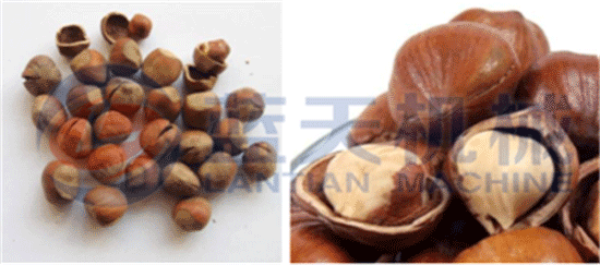 Hazelnut oil press