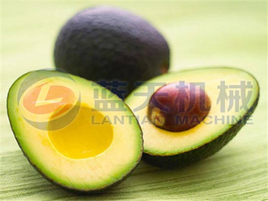 Avocado seed oil press