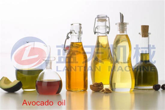 Avocado seed oil press
