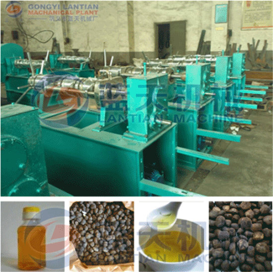 Tung cold oil press