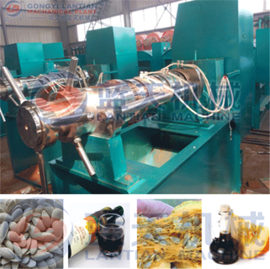 Pumpkin seed oil press machine