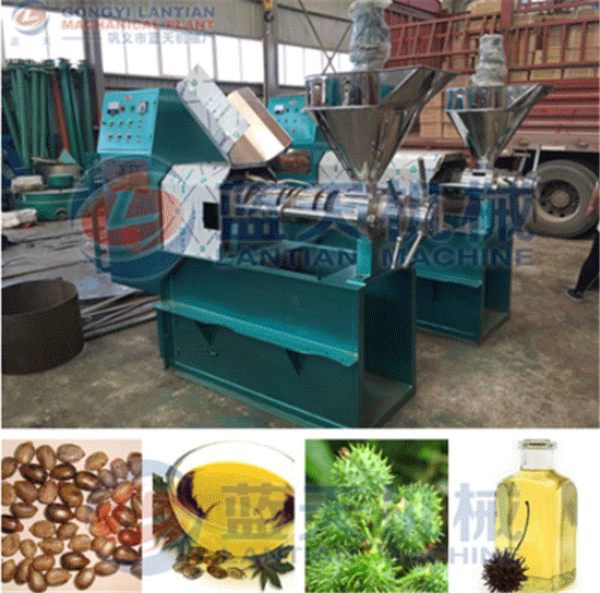 Castor bean oil press machine