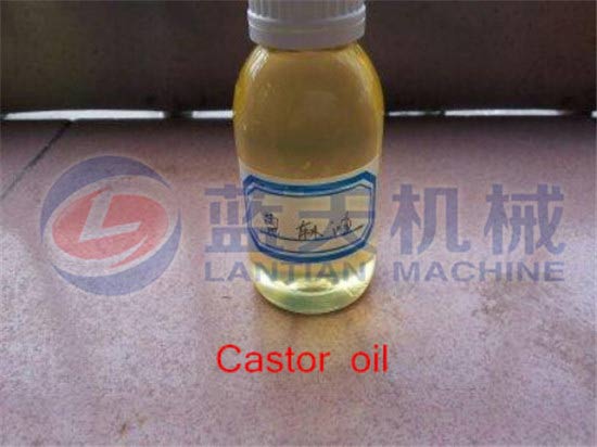 Castor bean oil press machine