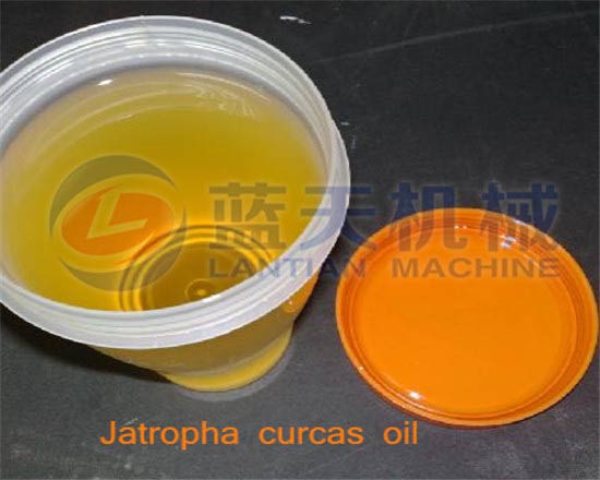 Jatropha seeds oil press machine