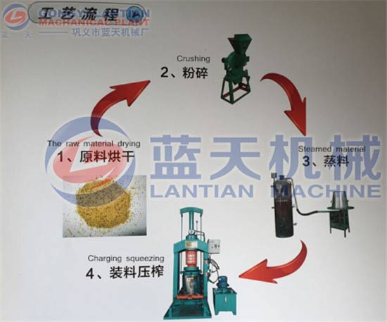 Hydraulic oil press