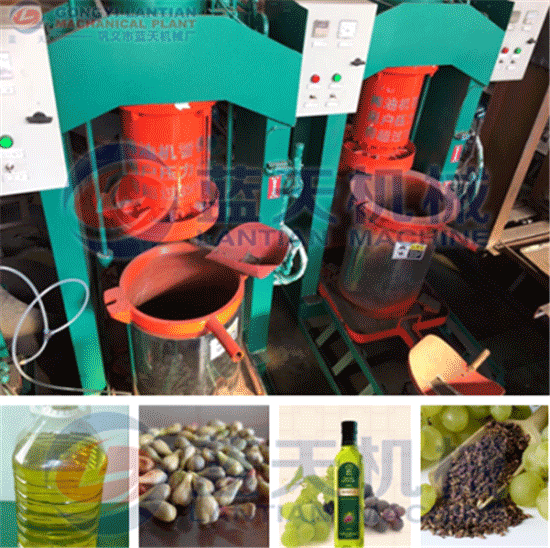 Grape seed oil extraction machine