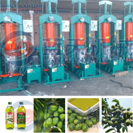 Hydraulic olive oil press machine