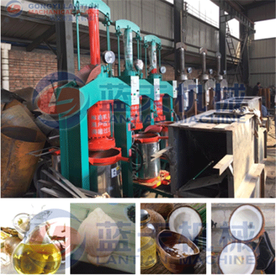 Coconut oil press machine