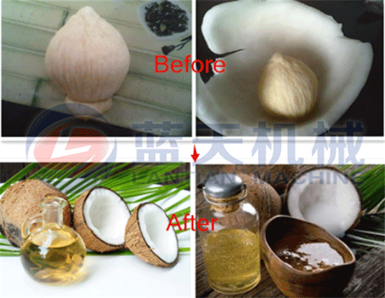 Coconut oil press machine