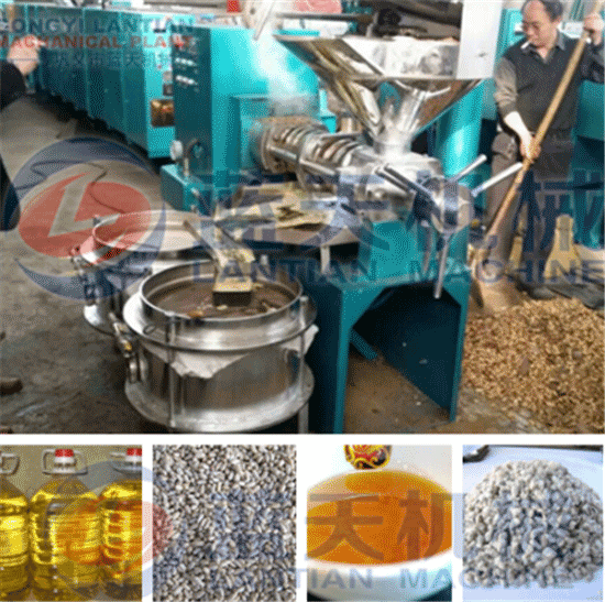 Cotton seed oil expeller