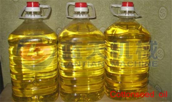 Cotton seed oil expeller