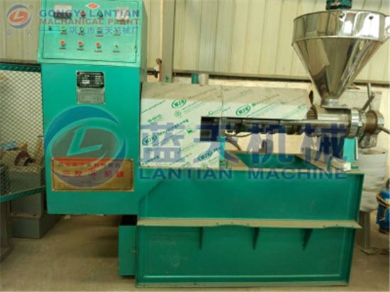 Corn oil press machine