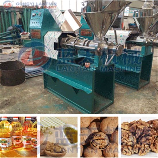 Walnut kernel oil press machine