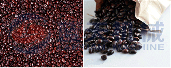 Coffee beans oil press