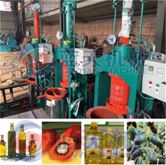 Palm oil press machine