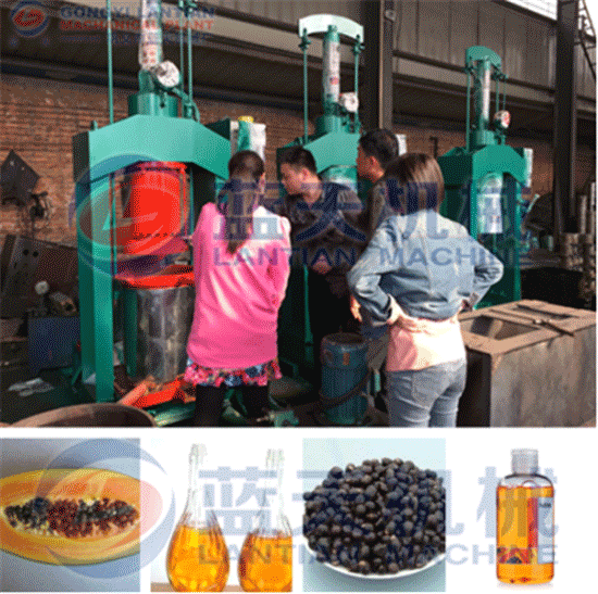 Papaya seed oil machine