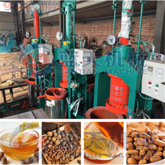Nut oil press machine