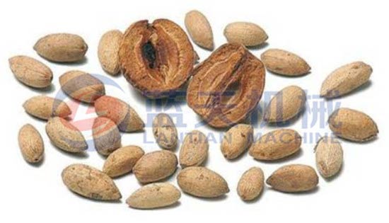 Neem seed hydraulic oil press machin