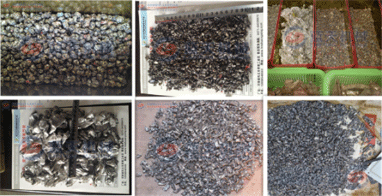 Waste paint pot metal crusher